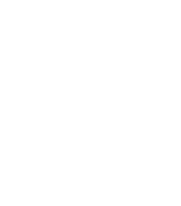 Aara GlobalNexus